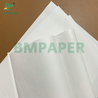 উচ্চ স্থায়িত্ব প্রিমিয়াম বিপিএ-মুক্ত ৪৮gsm ৫৫gsm থার্মাল পেপার রোল