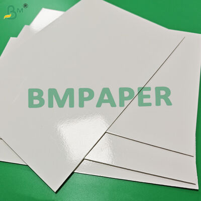 হিমায়িত খাবারের ট্রেগুলির জন্য 295gsm + 15g PE ফ্রিজার পেপার বোর্ড উচ্চ বিস্ফোরণ শক্তি