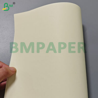 80 গ্রাম ক্রিম রঙিন বই কাগজ রোলস 715mm প্রিন্ট করার জন্য প্রস্থ