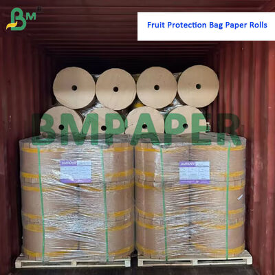 56gsm Red Paper Rolls 34gsm Black Paper Rolls For Fruit Protection Bags 200mm - 400mm