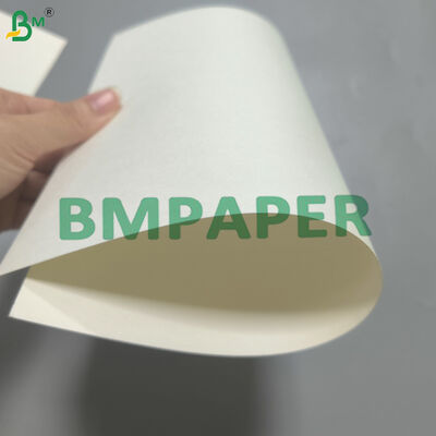 সিঙ্গেল সাইডেড ওয়াটার বেস কোটেড কাপস্টক প্লাস্টিক ফ্রি ১৭০-৩২০ গ্রাম সাদা