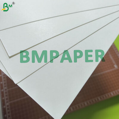 0.4 মিমি - 2 মিমি বোতল ক্যাপ সীল আস্তরণের জন্য শোষণকারী বেস পেপার PE একপাশে