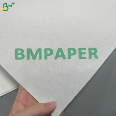 Sterilization Paper 60gsm Medical Dialysis Paper For Syringe Blister Packaging