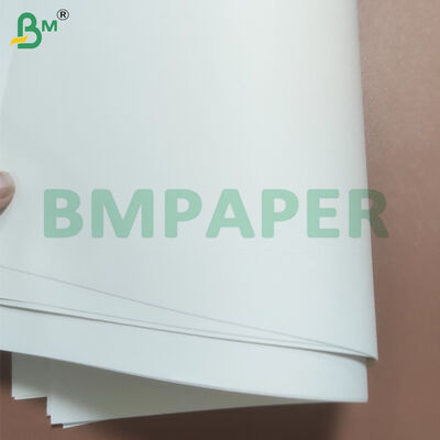 80gsm Clear Image Book Paper Jumbo Rolls for Offset Printing