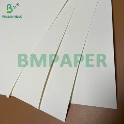 Food Grade One Side Coated White Paper Roll 210gsm + 15g PE for Coffee Cup