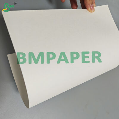 230g Compostable Recycled Sugarcane Bagasse Paper For Disposable Plates 1000mm