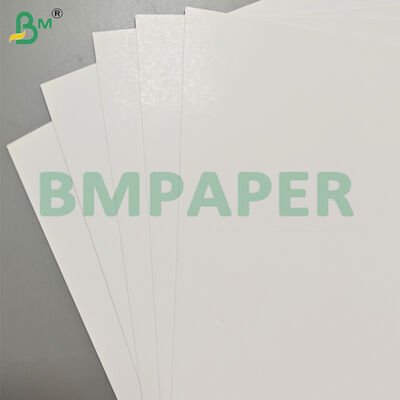 300gsm Two Side Coated Art Cardboard for Magazine Printing