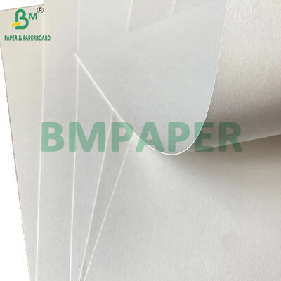 Lunch Food Container 300gr 325gr 350gr Biodegradable Sugarcane Bagasse Paper