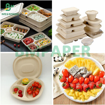 Lunch Food Container 300gr 325gr 350gr Biodegradable Sugarcane Bagasse Paper