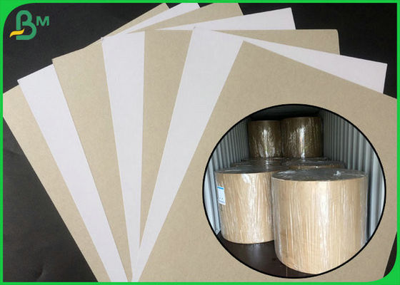 বড় রোল প্যাকিং মধ্যে গ্রে ফিরে সঙ্গে FSC সার্টিফাইড লেপা দ্বৈত বোর্ড হোয়াইট সাইড