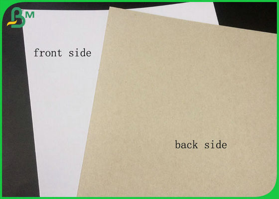 বড় রোল প্যাকিং মধ্যে গ্রে ফিরে সঙ্গে FSC সার্টিফাইড লেপা দ্বৈত বোর্ড হোয়াইট সাইড