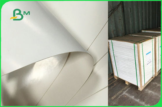 ডিসপোজেবল প্লেটের জন্য কাস্টমাইজড সিঙ্গল সাইড পিই লেপড পেপার এফএসসি এফডিএ অনুমোদিত হয়েছে