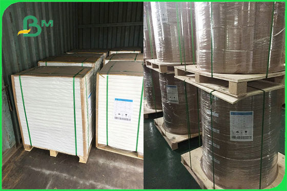 ডিসপোজেবল প্লেটের জন্য কাস্টমাইজড সিঙ্গল সাইড পিই লেপড পেপার এফএসসি এফডিএ অনুমোদিত হয়েছে