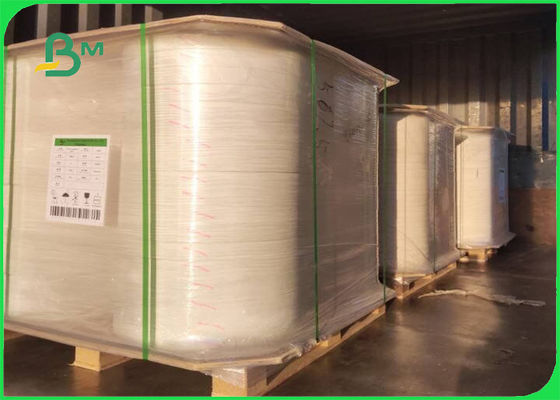 শুকনো শীটের জন্য দ্রুত জল শোষণ এবং মুদ্রণযোগ্য কোস্টার পেপার