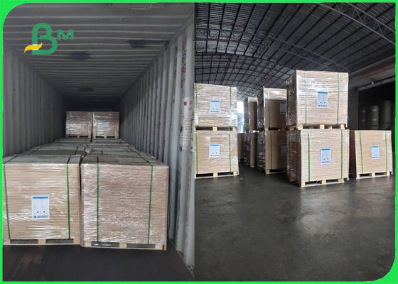 এফএসসি ব্রোশিয়ার স্মুথ জন্য 70g 80g সাদা উডফ্রি পেপার রোল অনুমোদিত হয়েছে