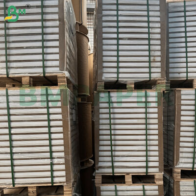 C2S ডাবল সাইড গ্লসি পেপার শীট 787mm*1092mm ম্যাগাজিনের জন্য