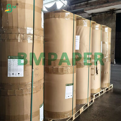 সাদা প্রলিপ্ত টর্টিলা মোড়ানো বিভাজক কাগজ 20gsm Papel Cebolla